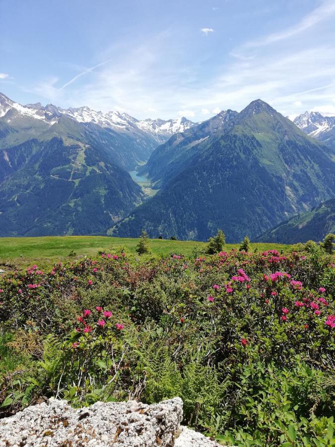 Gaestehaus Tramnitz Mayrhofen Exterior foto